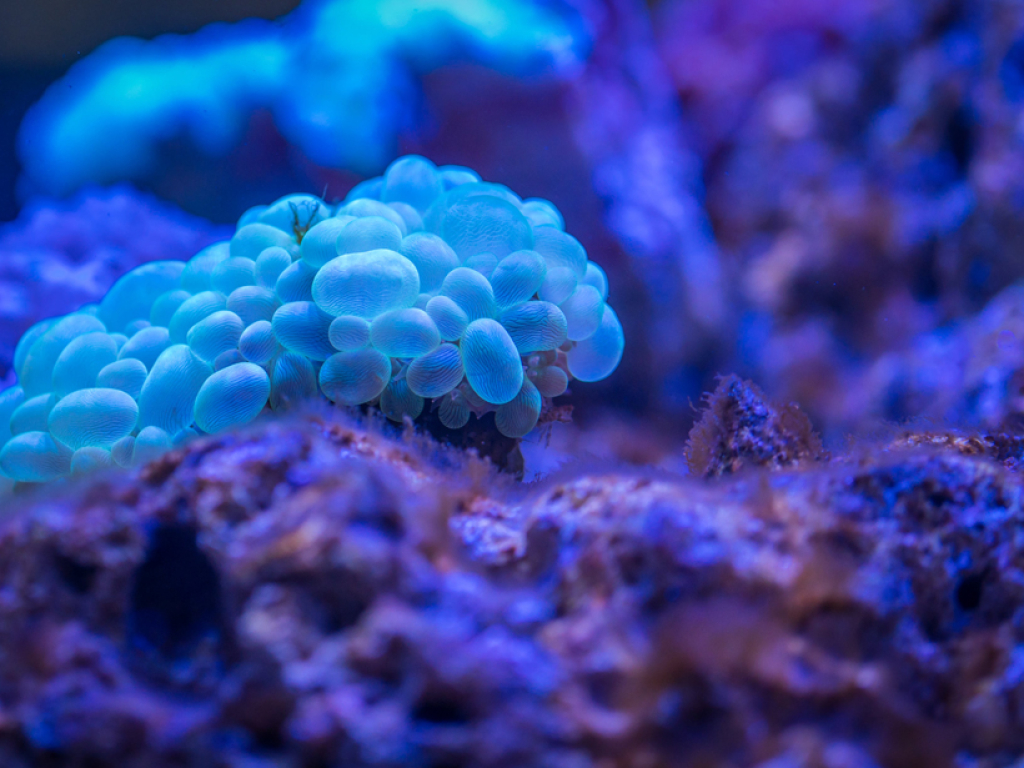 bio_1